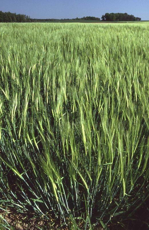 RWT 0292 325-04 France.jpg